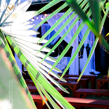 Tsuru Centro de Eventos - Post Redes Sociais